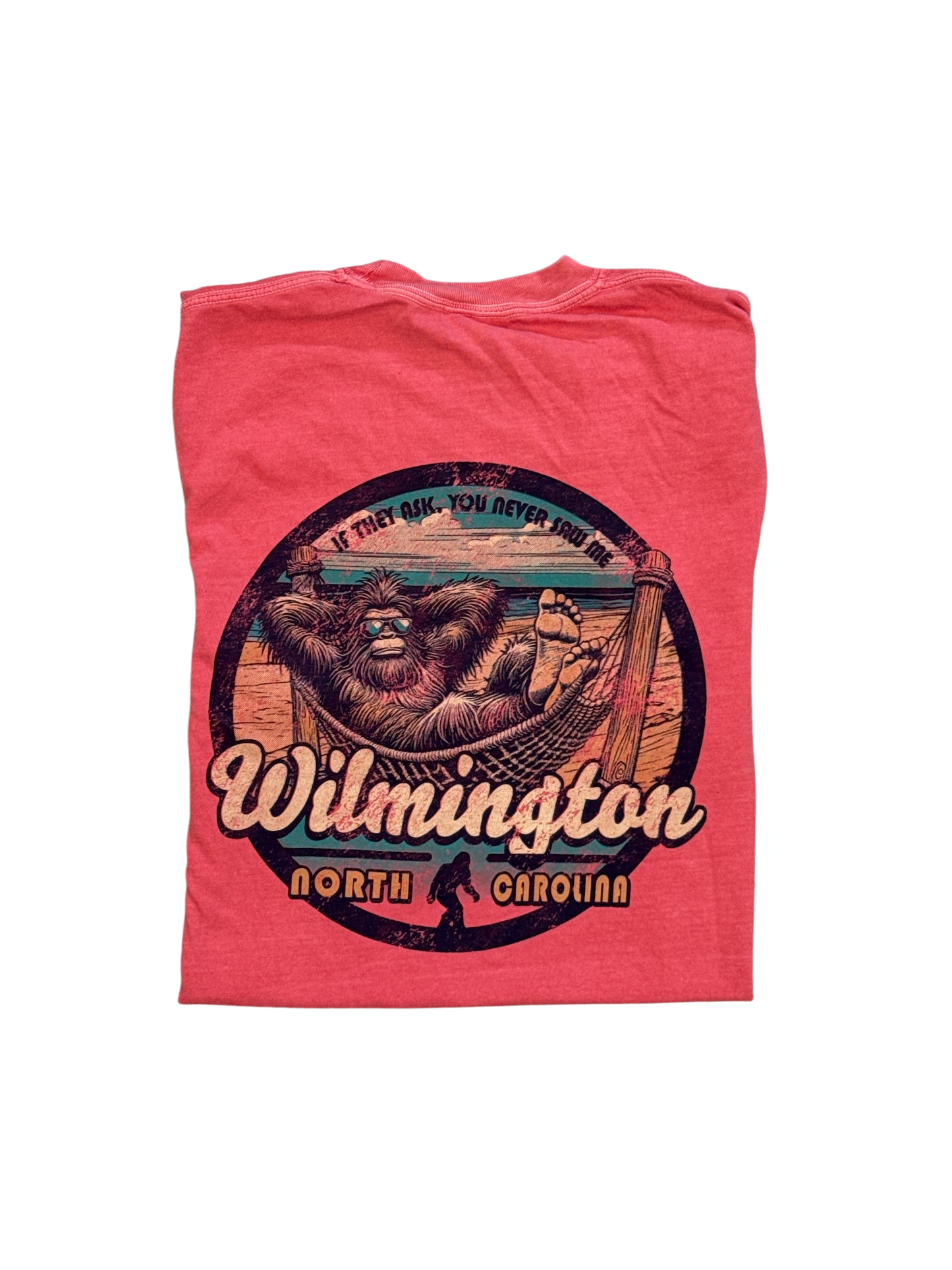 Wilmington NC Graphic T-Shirt "IF THEY ASK...YOU NEVER SAW ME"
