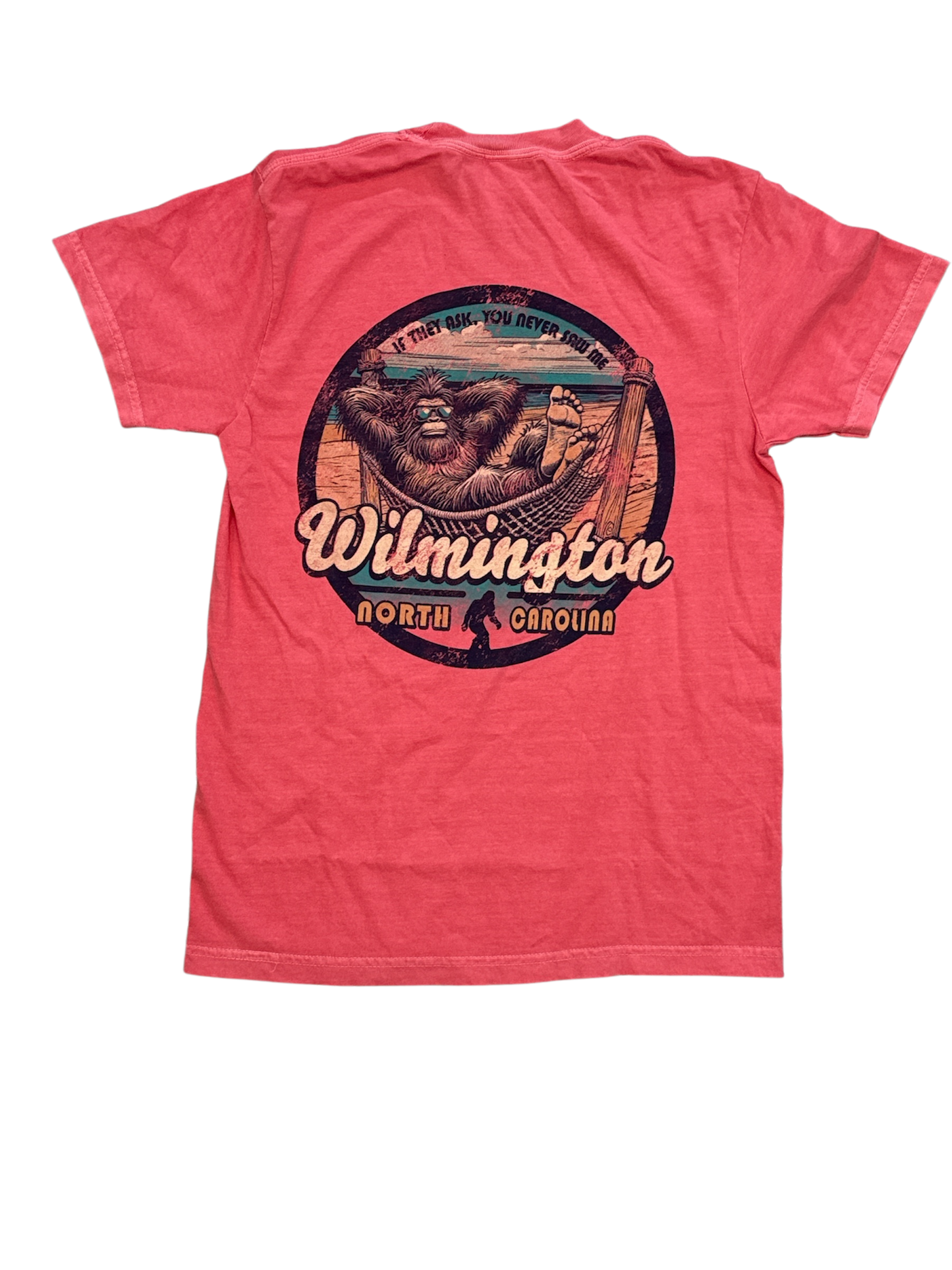 Wilmington NC Graphic T-Shirt "IF THEY ASK...YOU NEVER SAW ME"