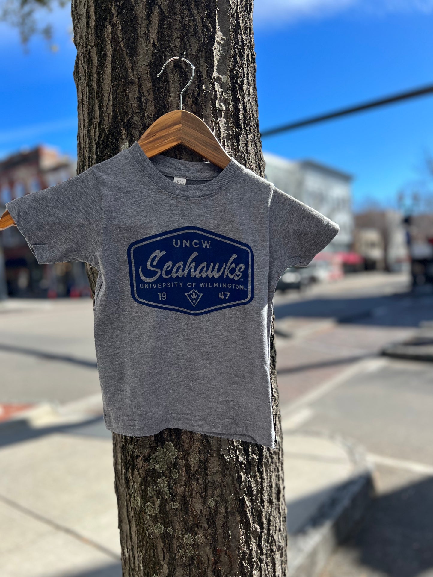 Uncw Seahawks Hex Toddler - T Shirt - Heather Grey