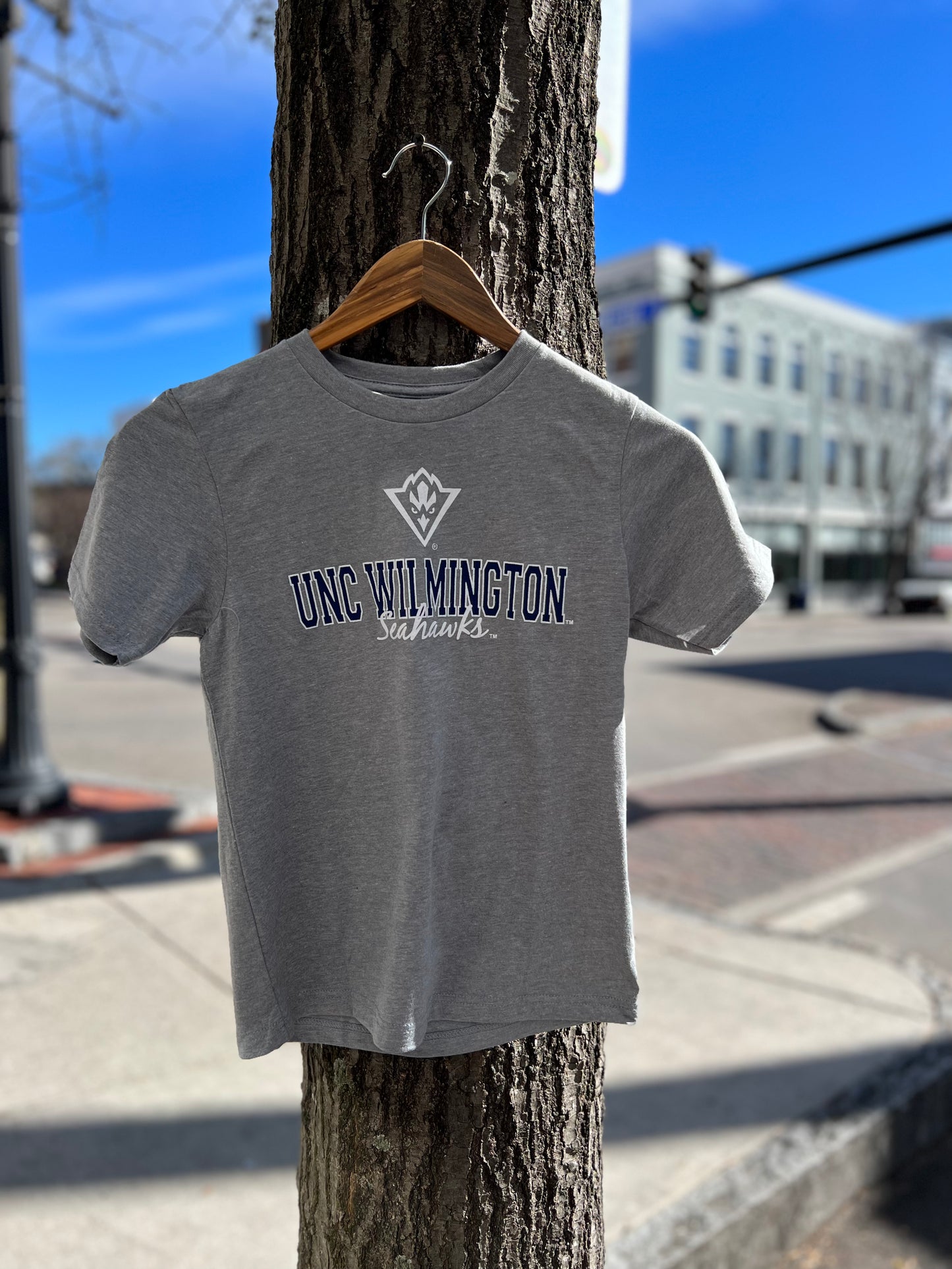 Unc Wilmington Seahawks Youth - T Shirt - Grey