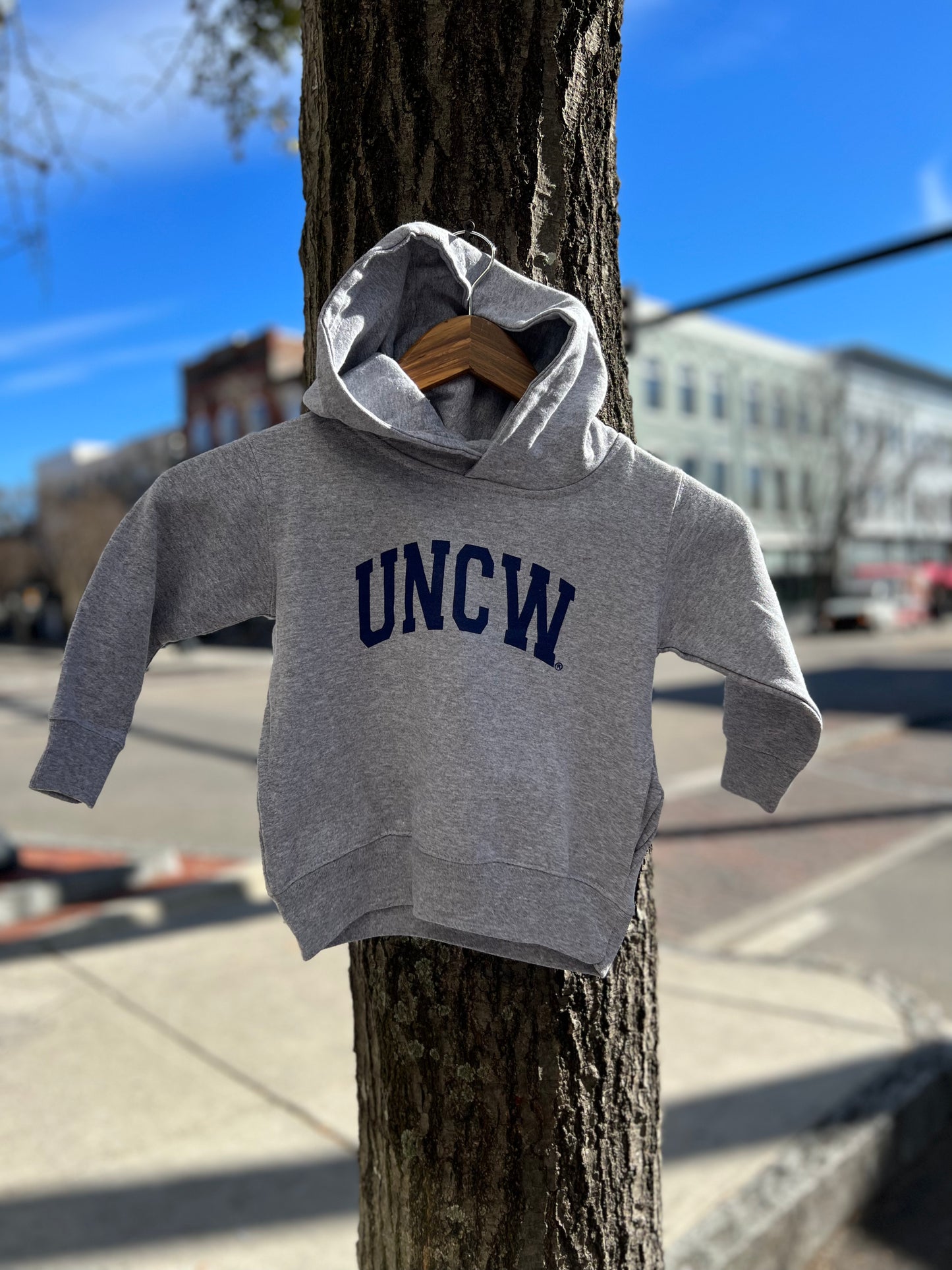 UNCW Basic Toddler - Hoodie - Heather Grey