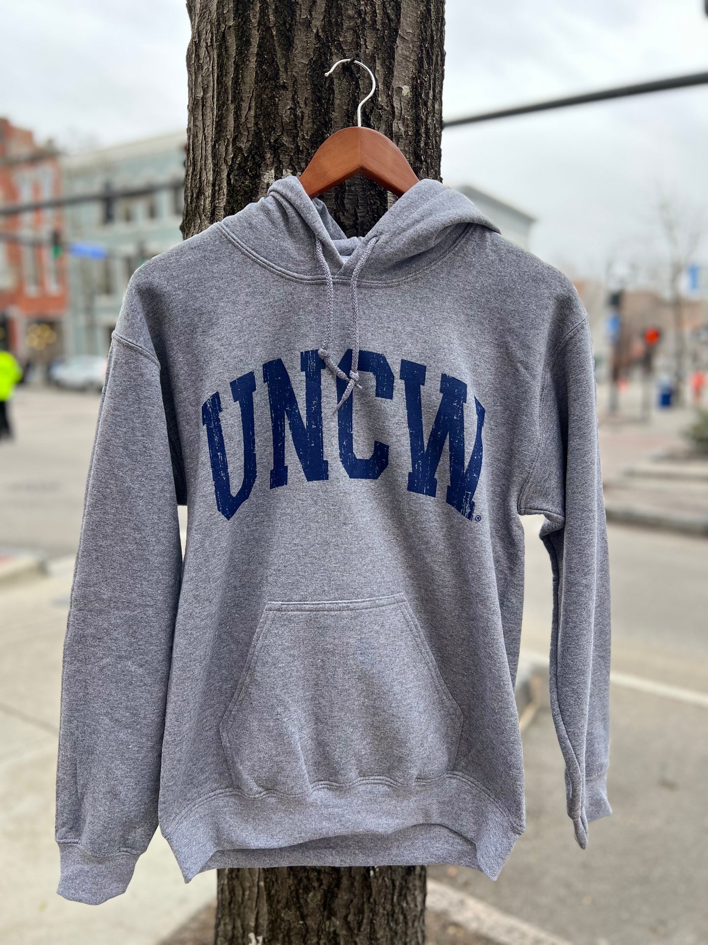 UNCW Arch - Hoodie - Graphite Heather