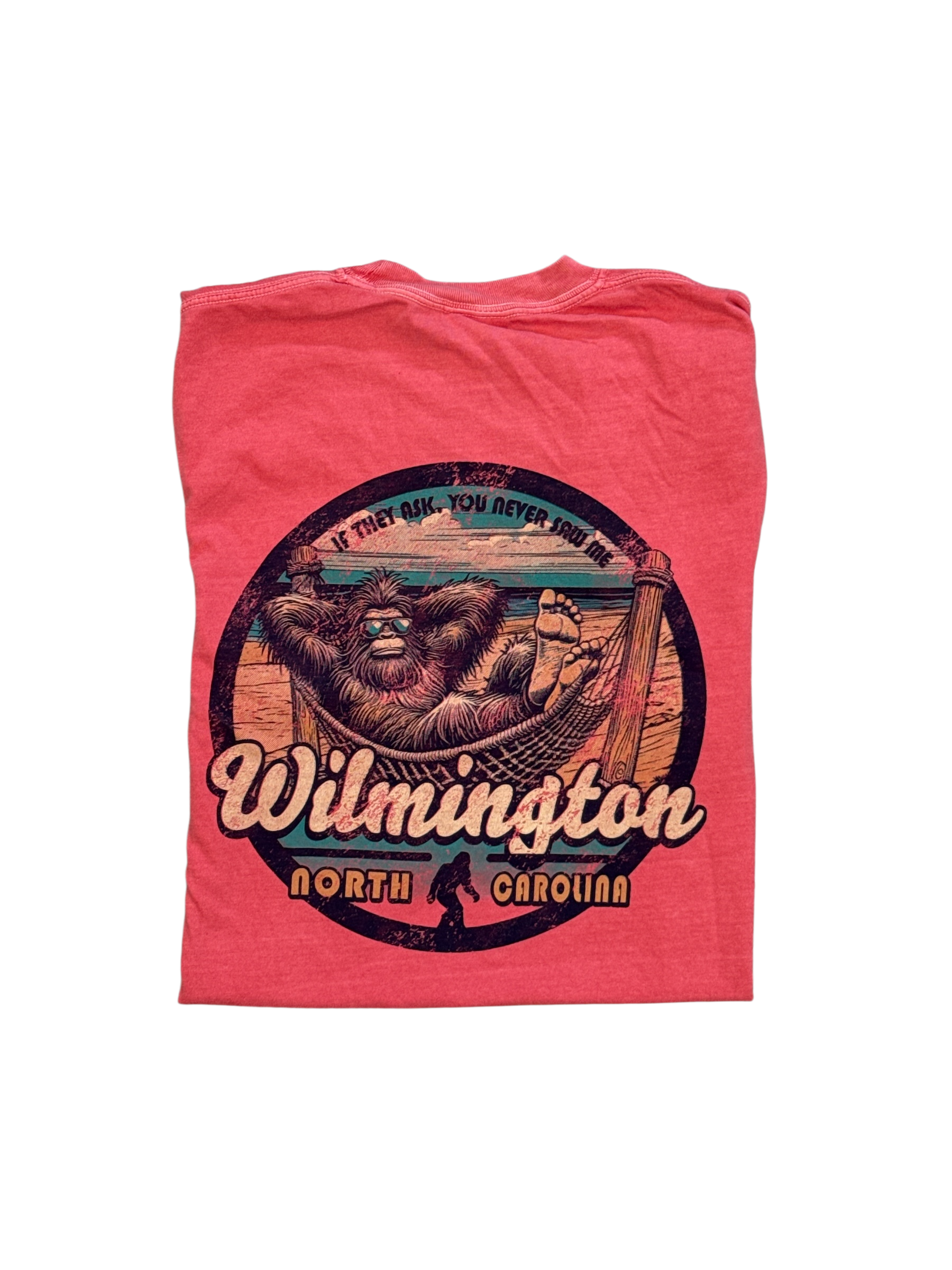 Wilmington NC Graphic T-Shirt "IF THEY ASK...YOU NEVER SAW ME"