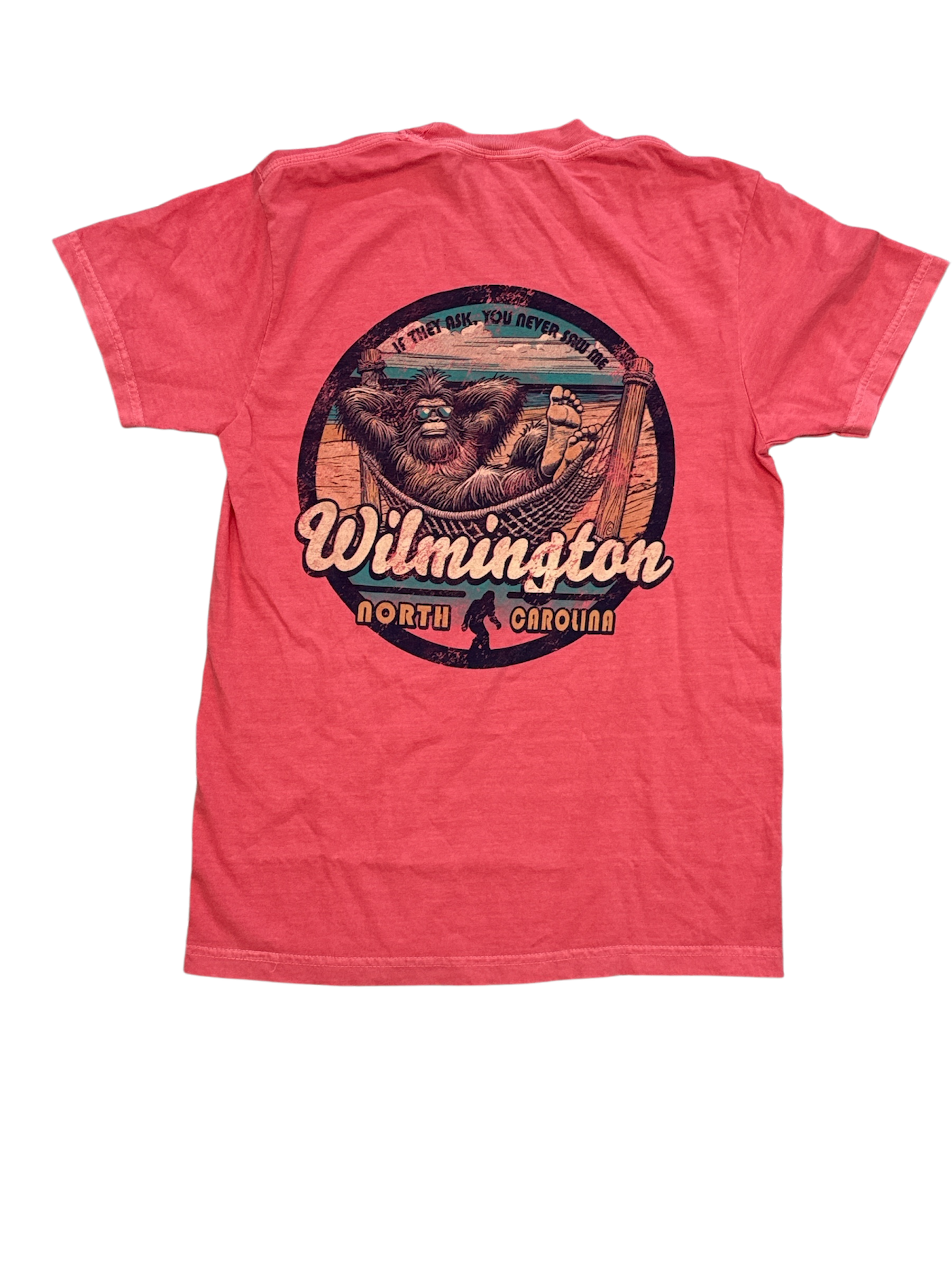 Wilmington NC Graphic T-Shirt "IF THEY ASK...YOU NEVER SAW ME"
