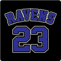 Standard Ravens 23  - Decal/Sticker  4"x6"