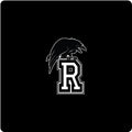 MINI Raven Logo - Decal/Sticker  2"x2"