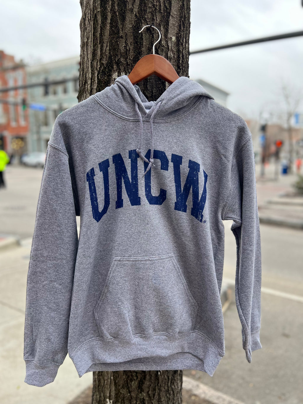 UNCW Arch - Hoodie - Graphite Heather