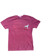 Dead Men Tell No Tales  - Sea Dog T Shirt - Brick